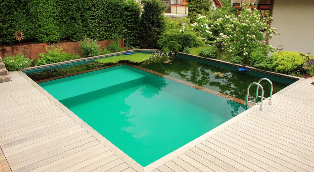 a backyard natural pool