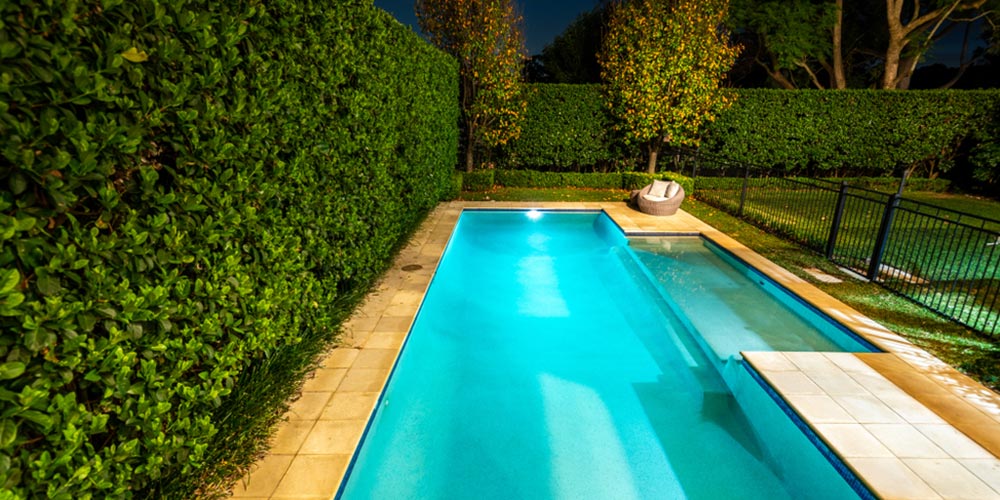 backyard pool at night surrounded by a hedge and trees