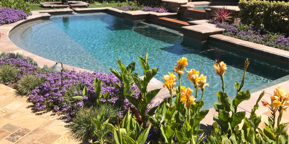 residential pool surrounded by flowers