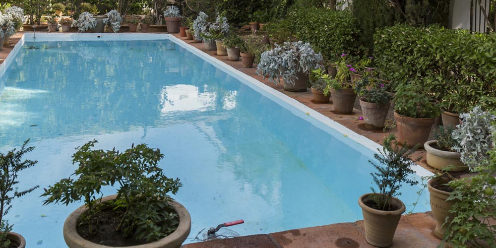 many potted plants placed around the edge of a swimming pool