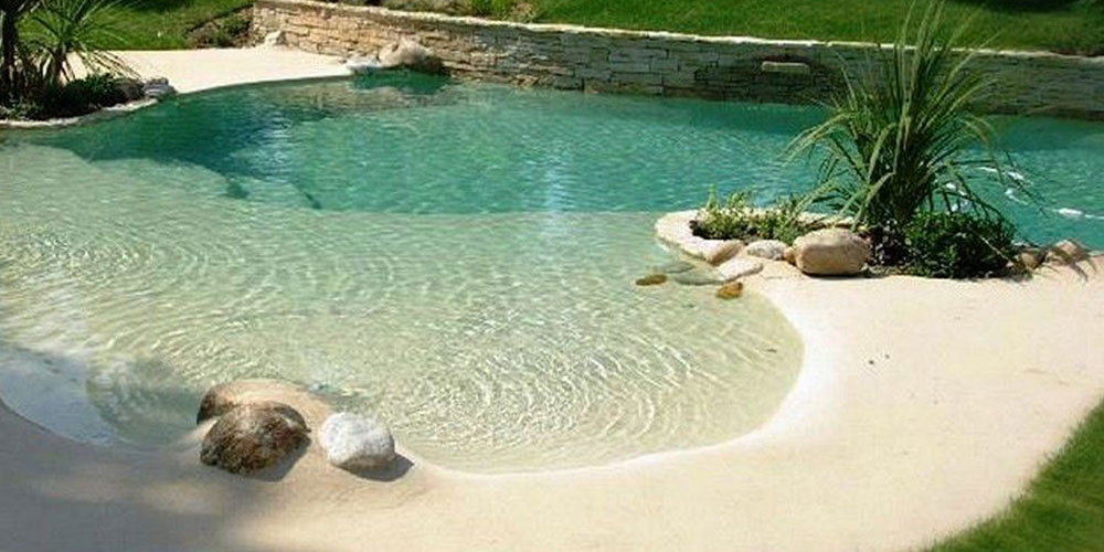 backyard pool with beach entry and plants