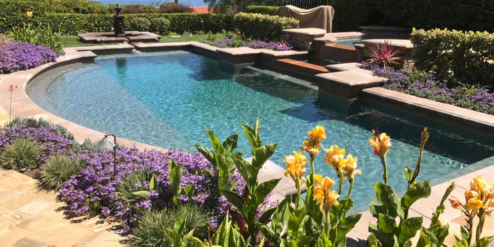 A swimming pool surrounded by flowers and plants.