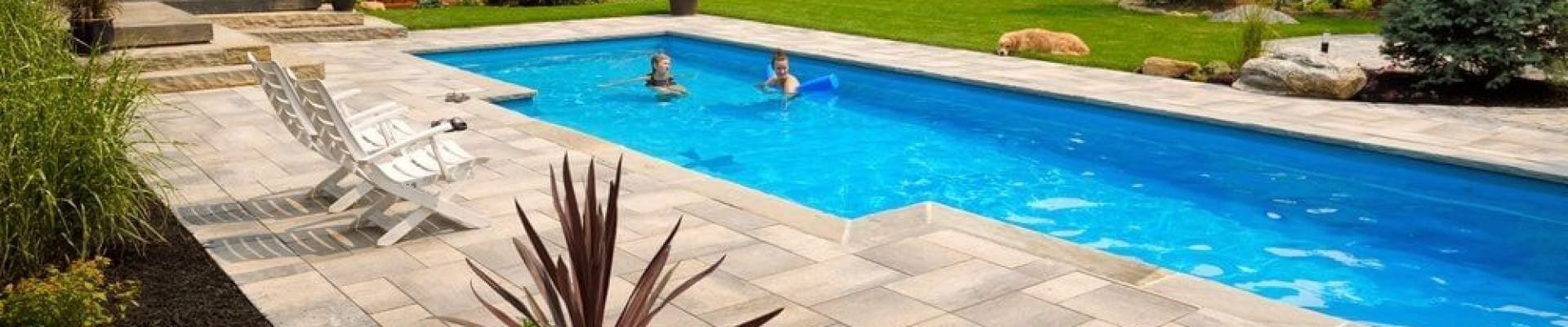 Two people swim in a rectangular outdoor pool in a backyard with surrounding patio, garden plants, and a wooden fence. A dog lies on the grass next to the patio.