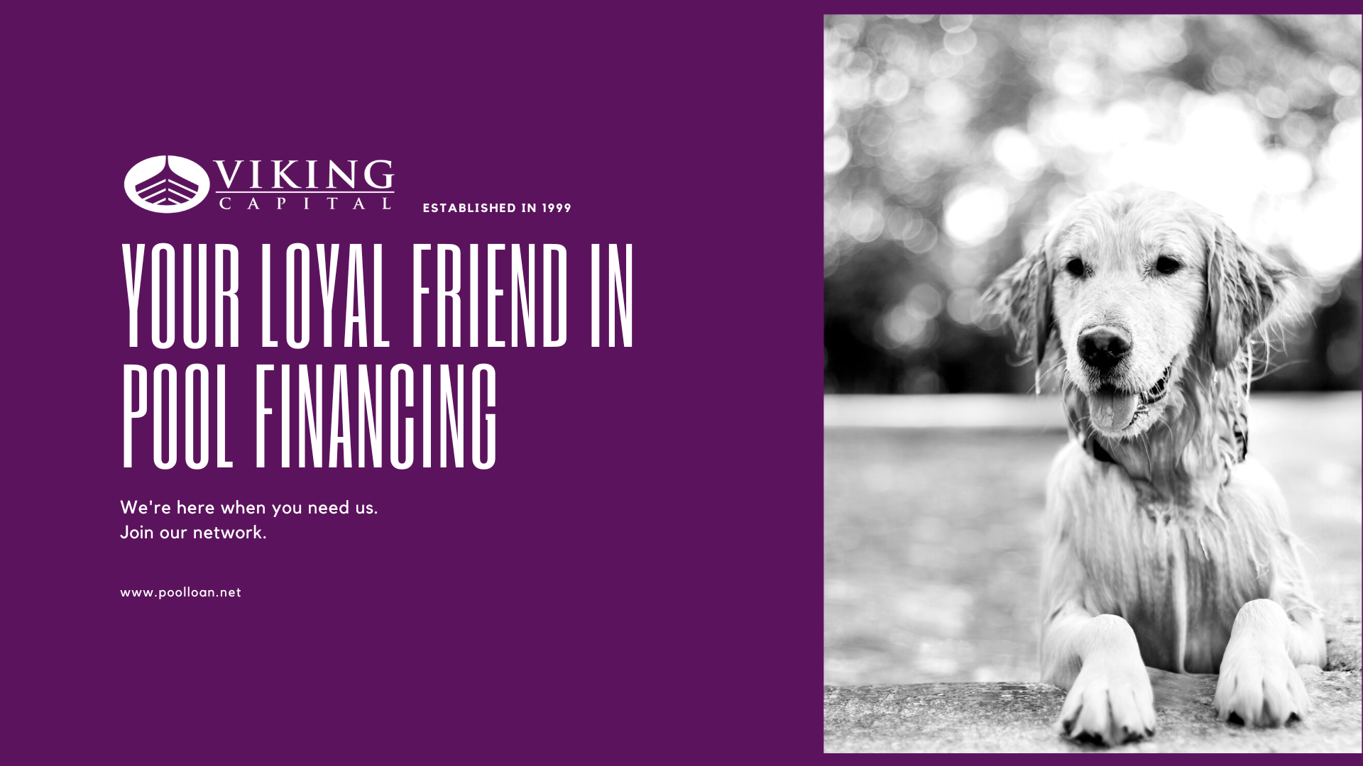 Your Loyal Friend in Pool Financing web page background 1920 × 1080 px)